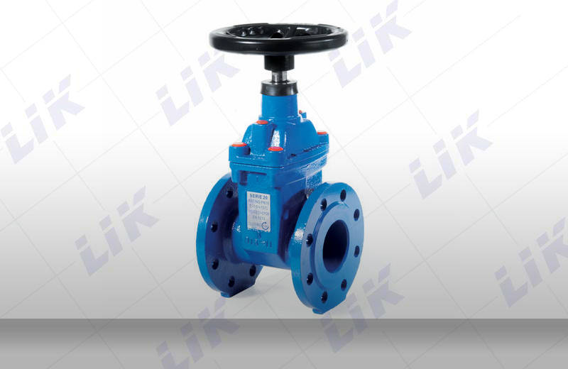 �M�ڏ��������l�y