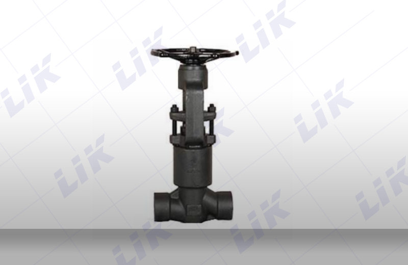 �M(j��n)�����ܷ��ֹ�y